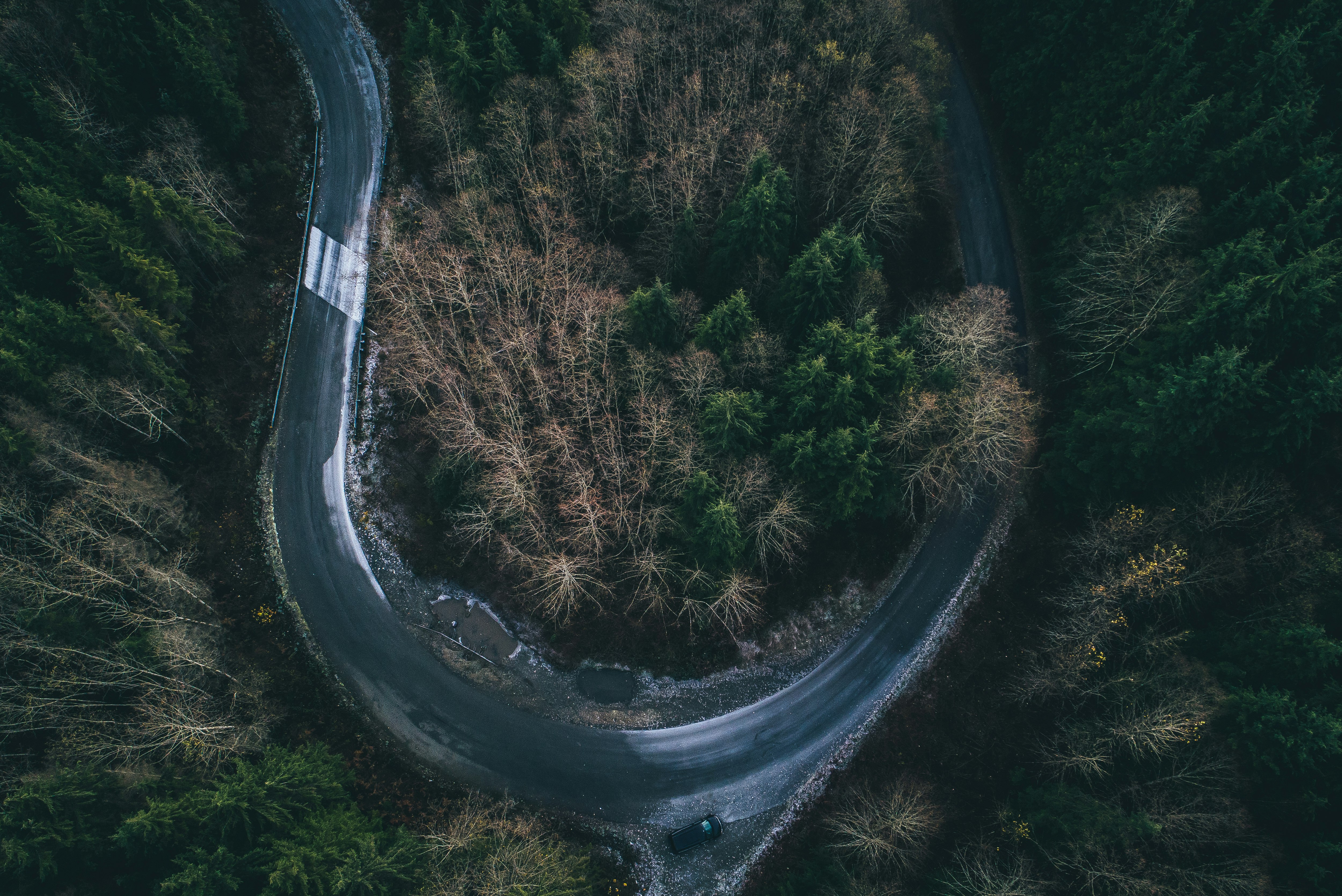 aerial photography of curved road